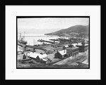 Lyttleton Harbour by Anonymous