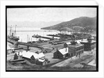 Lyttleton Harbour by Anonymous