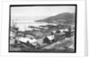 Lyttleton Harbour by Anonymous
