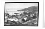 Lyttleton Harbour by Anonymous