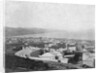 Wellington, ca. 1885 by Anonymous