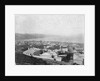 Wellington, ca. 1885 by Anonymous