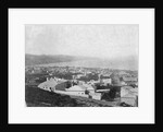 Wellington, ca. 1885 by Anonymous