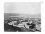 Wellington, ca. 1885 by Anonymous