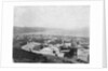 Wellington, ca. 1885 by Anonymous