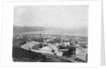 Wellington, ca. 1885 by Anonymous