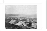 Wellington, ca. 1885 by Anonymous