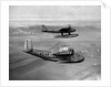 Short Empire Flying Boat by Anonymous