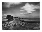 Hill Harvest by Anonymous