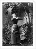 Hon. Mrs. Hugh Rowley by Anonymous