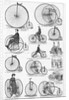 Velocipedes by Anonymous