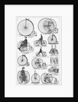 Velocipedes by Anonymous