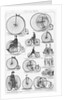 Velocipedes by Anonymous