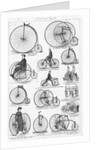 Velocipedes by Anonymous
