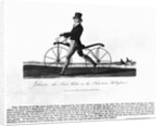 Johnson's Hobby Horse by Anonymous