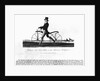 Johnson's Hobby Horse by Anonymous