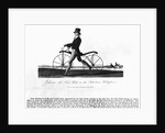 Johnson's Hobby Horse by Anonymous