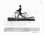 Johnson's Hobby Horse by Anonymous