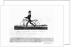 Johnson's Hobby Horse by Anonymous