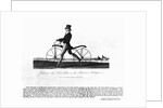 Johnson's Hobby Horse by Anonymous