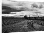 Welsh Wheat Fields With Snowdonia in the Distance by Anonymous