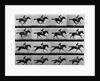 Man Riding Galloping Horse by Anonymous