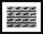 Man Riding Galloping Horse by Anonymous