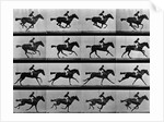 Man Riding Galloping Horse by Anonymous