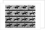 Man Riding Galloping Horse by Anonymous