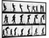 Two Men Leapfrogging by Anonymous