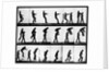 Two Men Leapfrogging by Anonymous