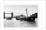 Rainbow Warrior in London by Anonymous