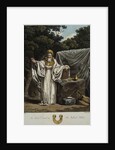 An Arch Druid in His Judicial Habit by Robert Havell