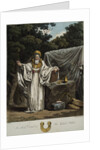 An Arch Druid in His Judicial Habit by Robert Havell