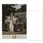 An Arch Druid in His Judicial Habit by Robert Havell