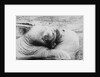 Kissing Walruses by Anonymous