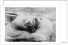 Kissing Walruses by Anonymous