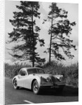 Jaguar XK120 Hardtop by Anonymous