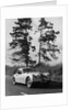 Jaguar XK120 Hardtop by Anonymous