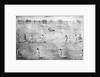 Illustration of Cricket Game by Anonymous