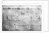 Illustration of Cricket Game by Anonymous