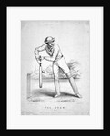 Cricket Player by Anonymous