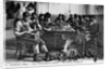 Cobbling Class by Anonymous