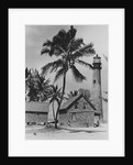 Lighthouse Museum in Key West by Anonymous