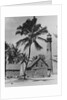 Lighthouse Museum in Key West by Anonymous