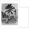 Lighthouse Museum in Key West by Anonymous
