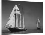 Schooners Sir Winston Churchill and Malcolm Miller by Anonymous