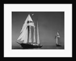 Schooners Sir Winston Churchill and Malcolm Miller by Anonymous
