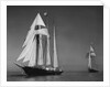 Schooners Sir Winston Churchill and Malcolm Miller by Anonymous