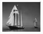 Schooners Sir Winston Churchill and Malcolm Miller by Anonymous